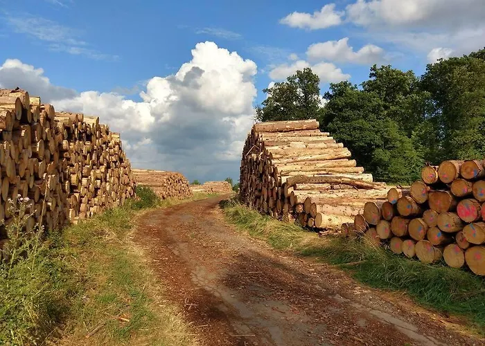 Hideaway Zum Seele Baumeln Lassen ! *